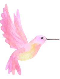 Kolibri rosa @joydigitaldesign